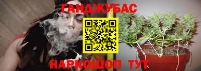 mdpv Чебоксары