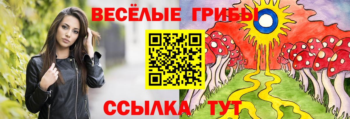 Галлюциногенные грибы GOLDEN TEACHER  сколько стоит  Вход с VPN  Можайск  Галлюциногенные грибы Psilocybe 