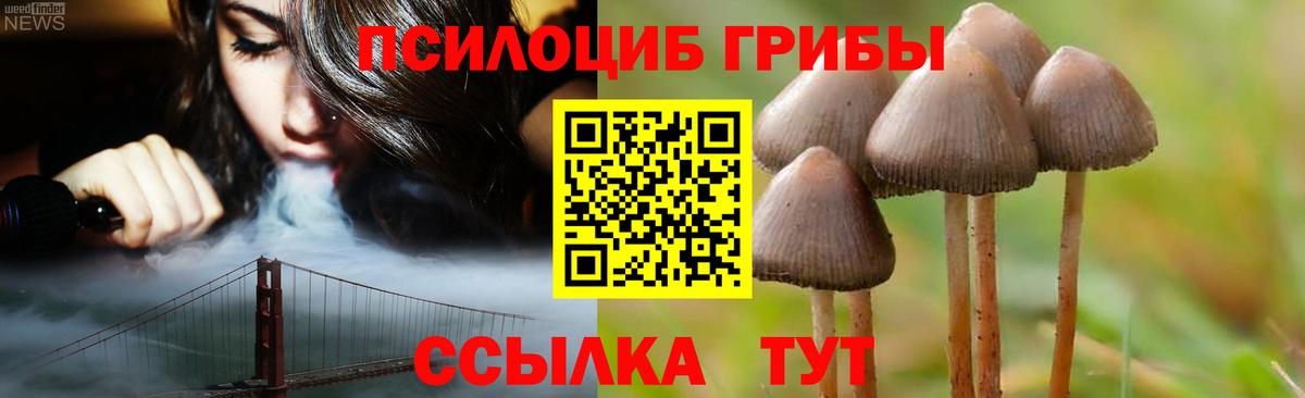 Псилоцибиновые грибы Cubensis Можайск